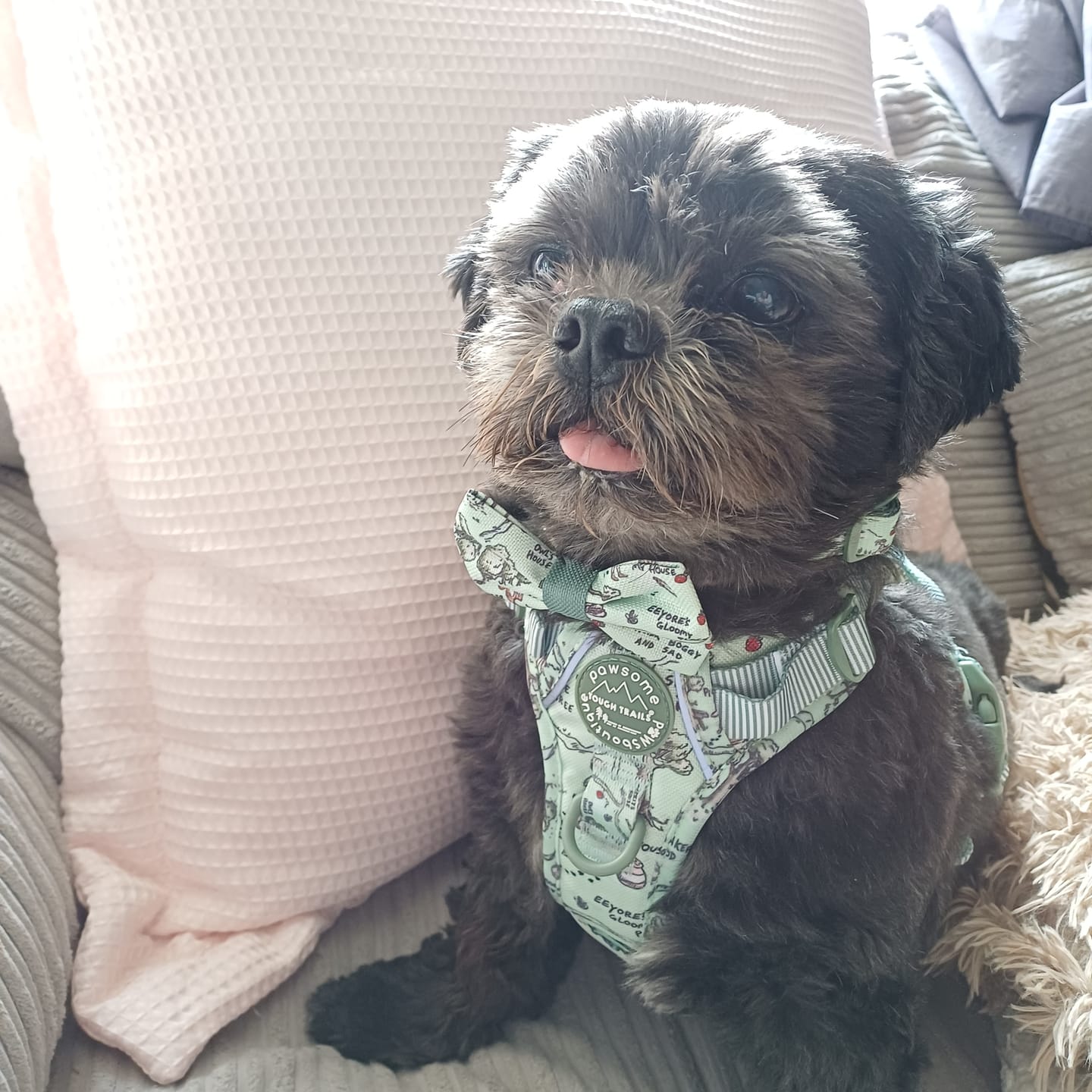 Customer photo review of Disney© Tough Trails™ Harness - 100 Aker Wood