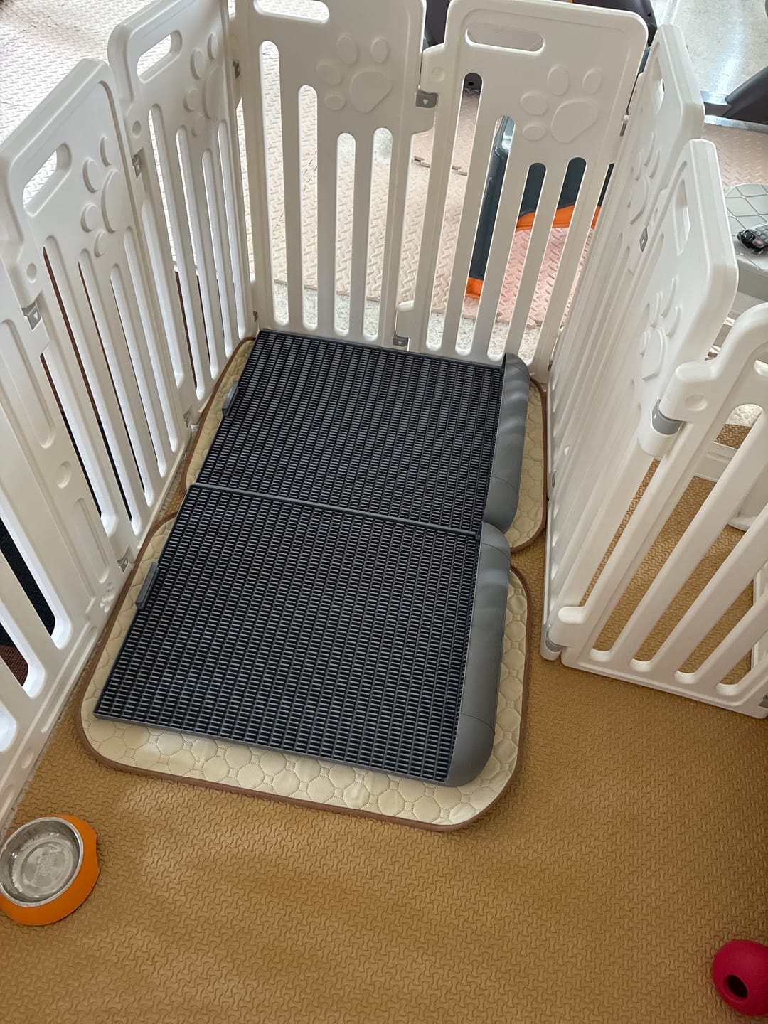 Customer photo review of Protrusion Potty Pad (Size L)