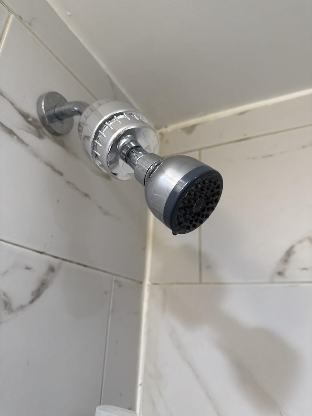 Customer photo review of Filtered Shower Head System — 20-Stage Chlorine & Heavy Metal Filter + 2 FREE Replacement Cartridges