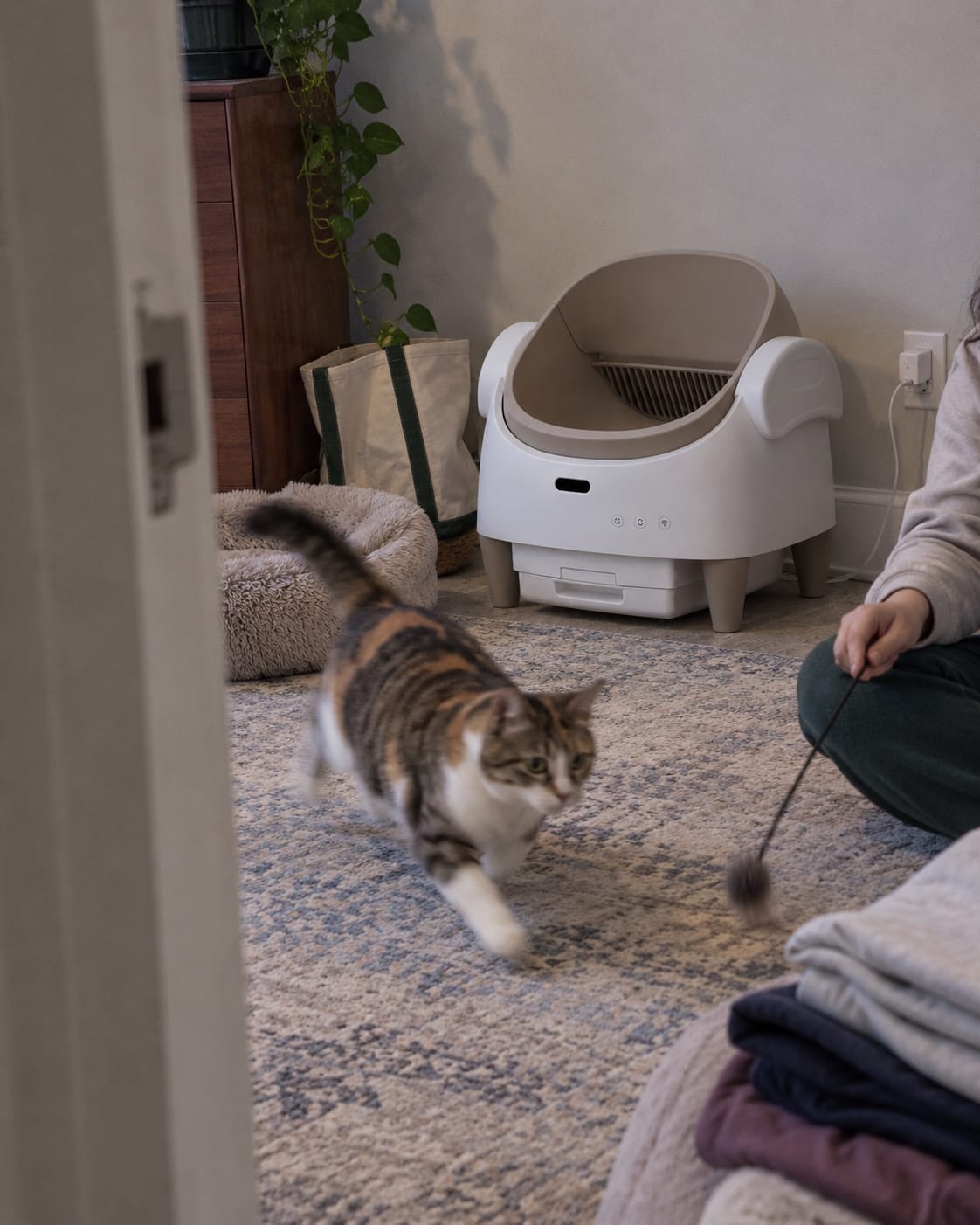 Customer photo review of Automatic Self-Cleaning Cat Litter Box
