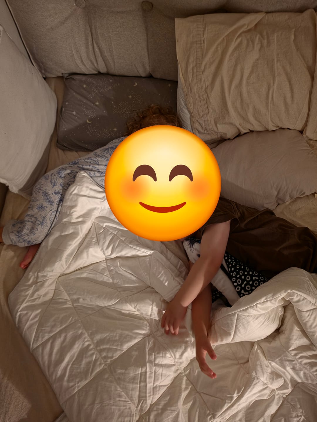 Customer photo review of Wool Comforter