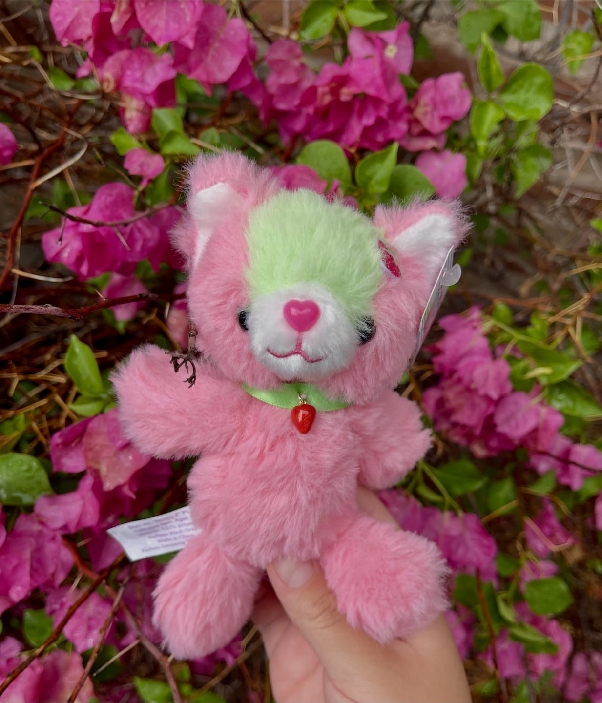 Customer photo review of Strawberry Classic Magical Noopy 7" Plush