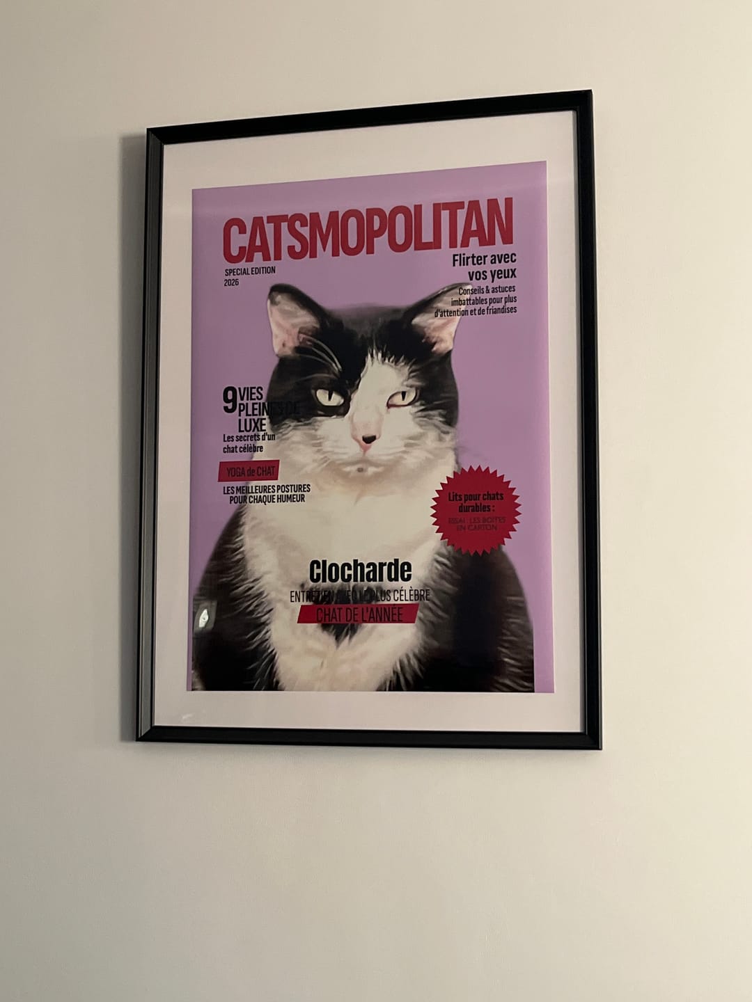 Customer photo review of Catsmopolitan - Poster personnalisé