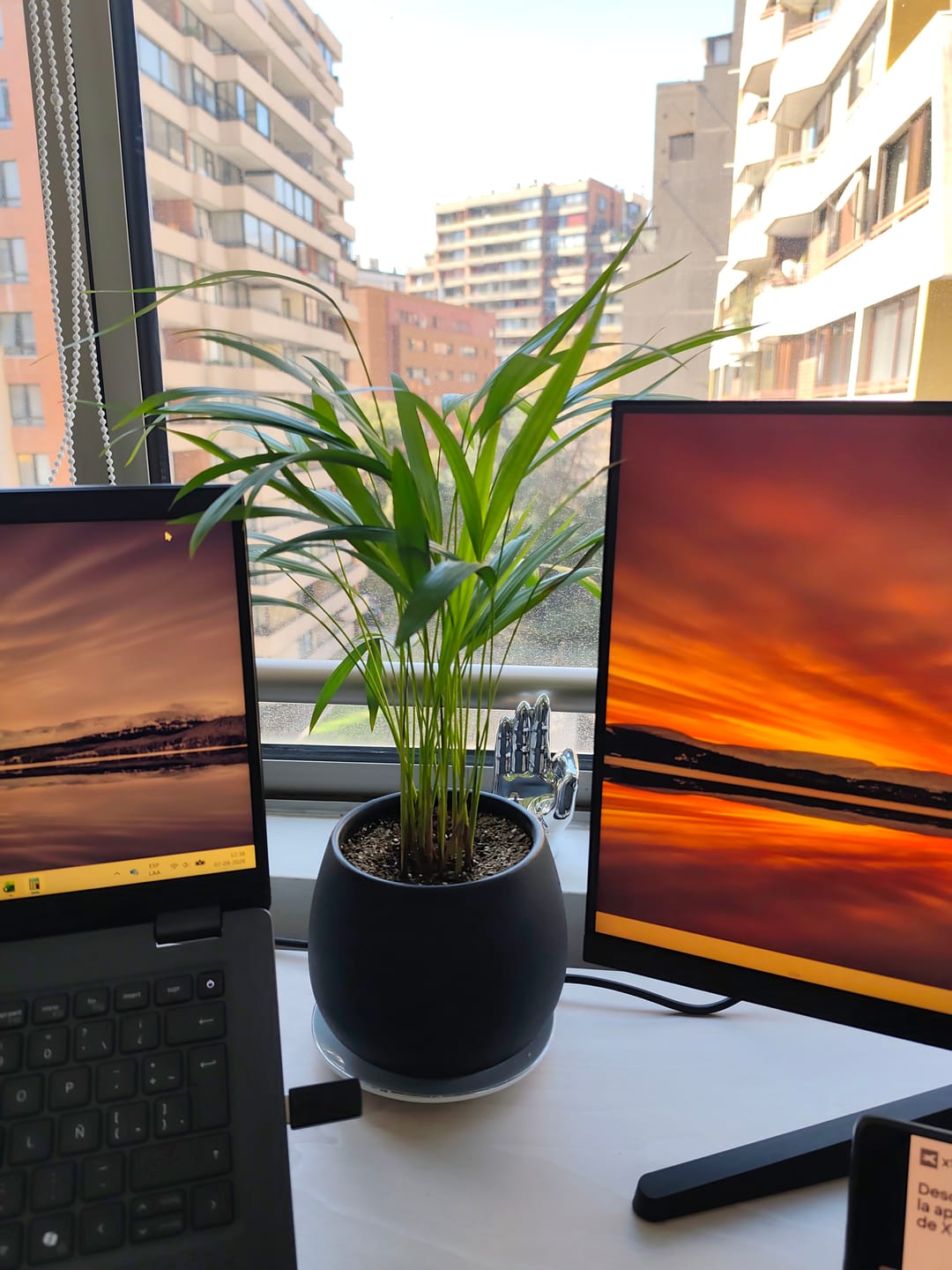 Customer photo review of Palmera Areca S