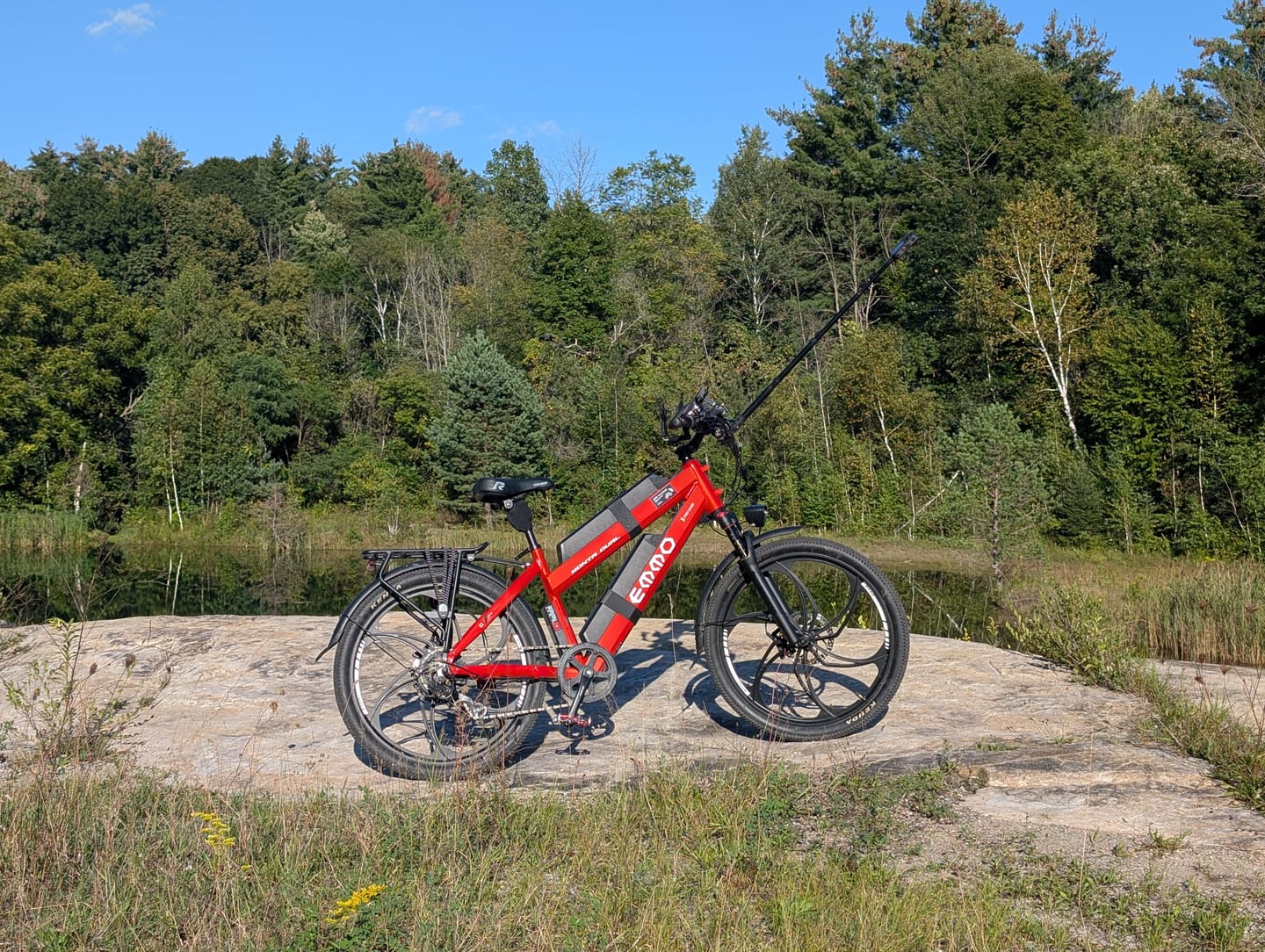 Customer photo review of Monta Dual Ebike