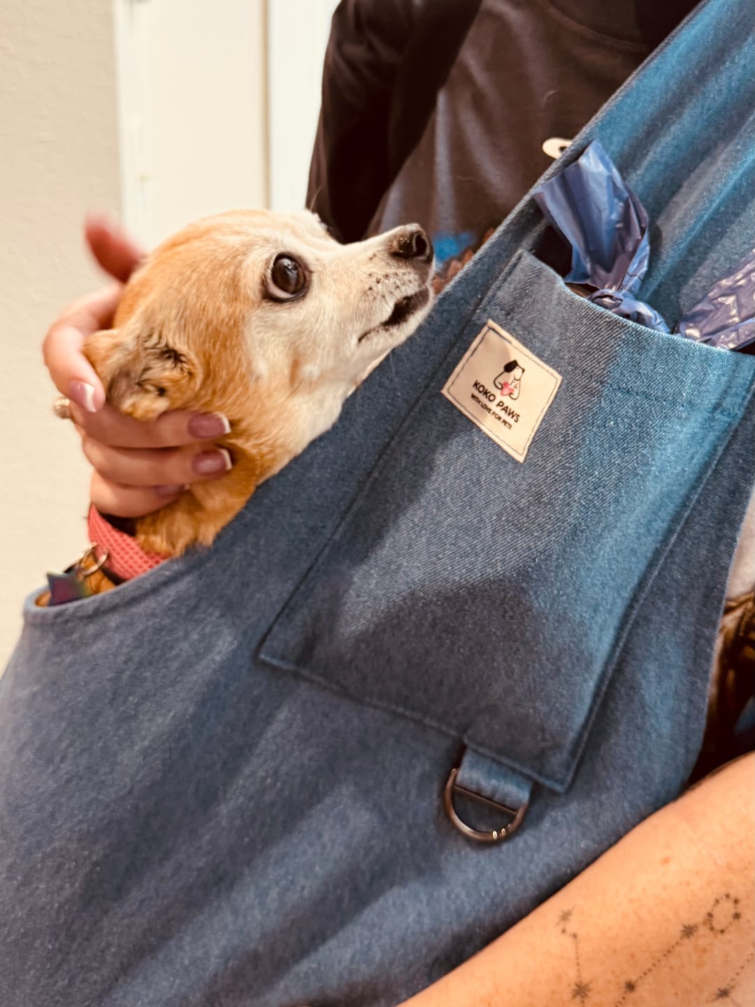 Customer photo review of Denim Pet Sling Carrier - 2-20 lbs / 1-9 kg (Spring/Summer)