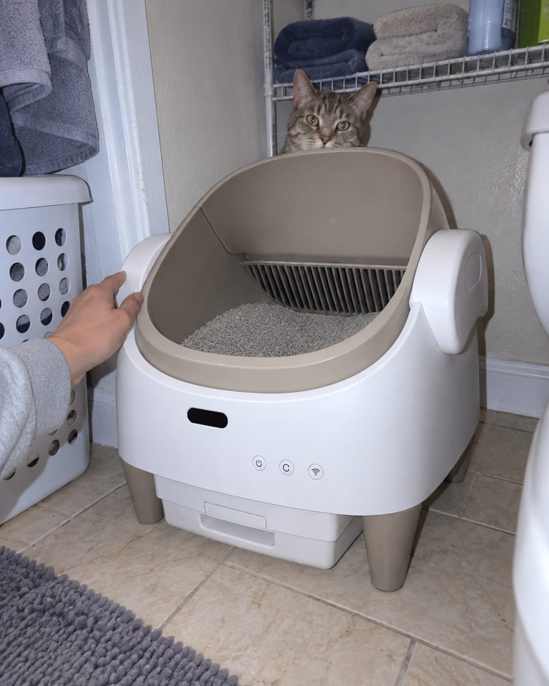 Customer photo review of Automatic Self-Cleaning Cat Litter Box