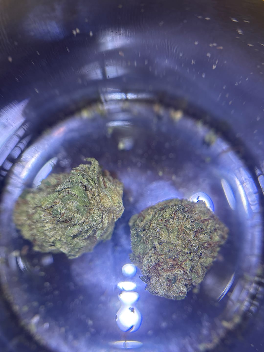 Customer photo review of Cheap Indoor THCA Flower Ounce