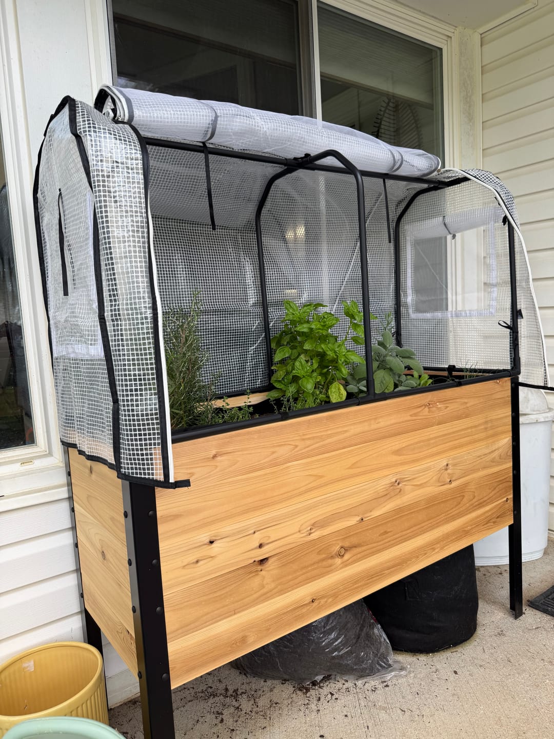 Customer photo review of Greenhouse Cover