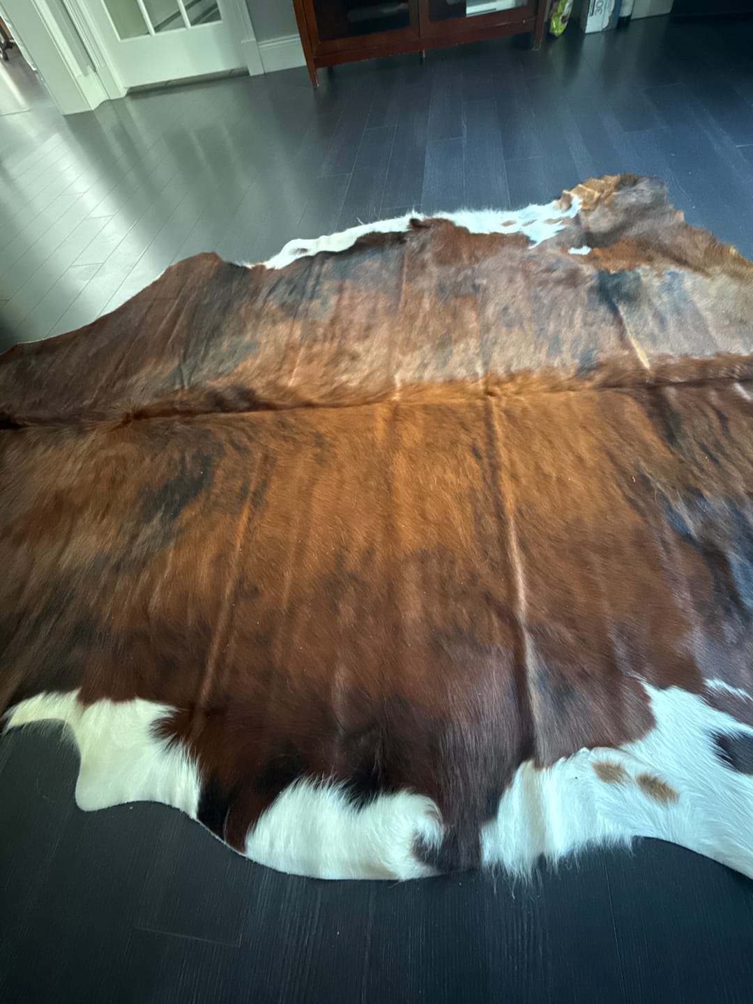 Customer photo review of SUPER SALE Brindle Natural Cowhide Rug - X-Large 7'2"H x 6'2"W
