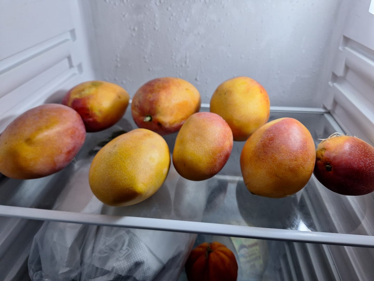 Customer photo review of Mango Irwin Edelsorte Bio von Julian
