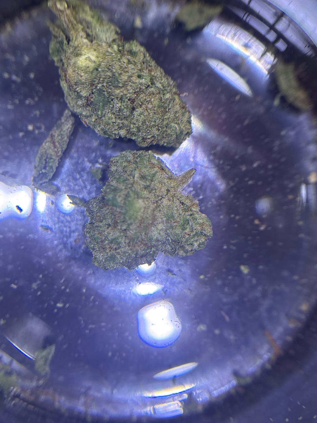 Customer photo review of Cheap Indoor THCA Flower Ounce