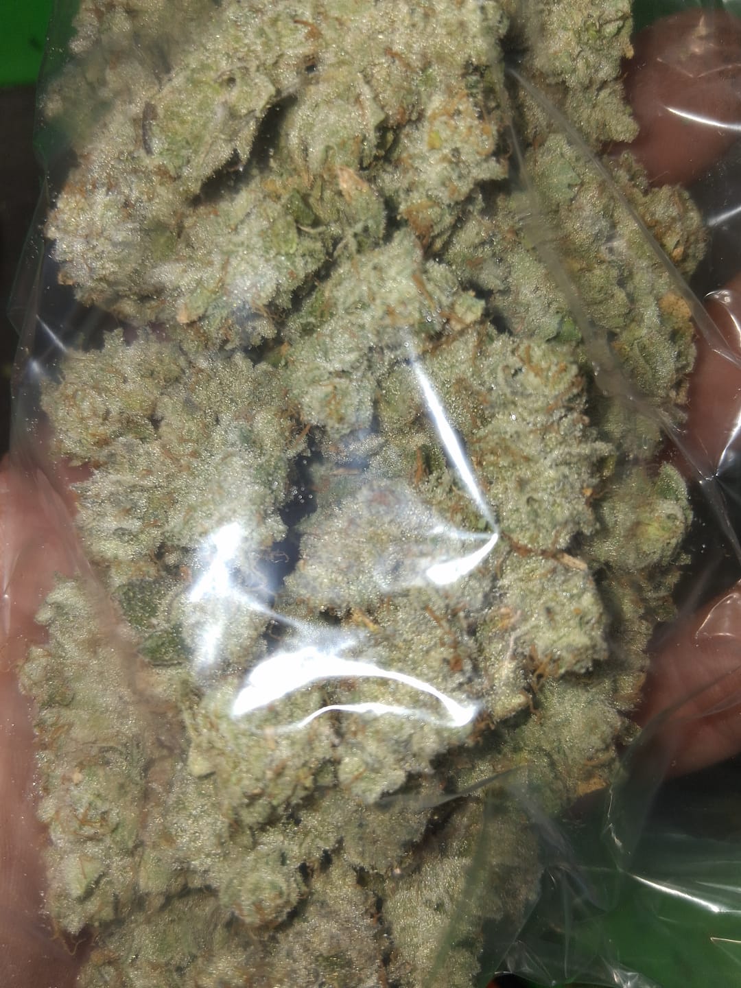 Customer photo review of THCA Pre-Roll
