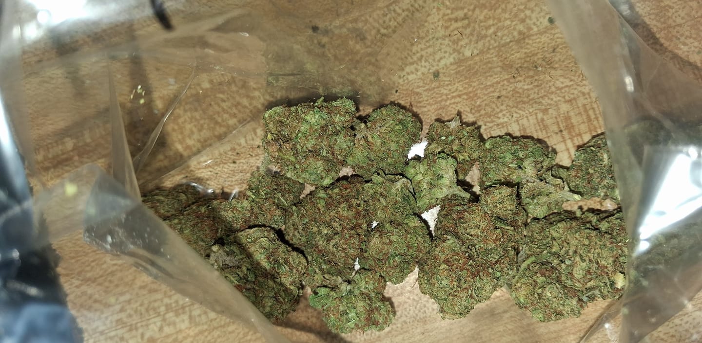 Customer photo review of Grease Monkey - Bulk- Indica
