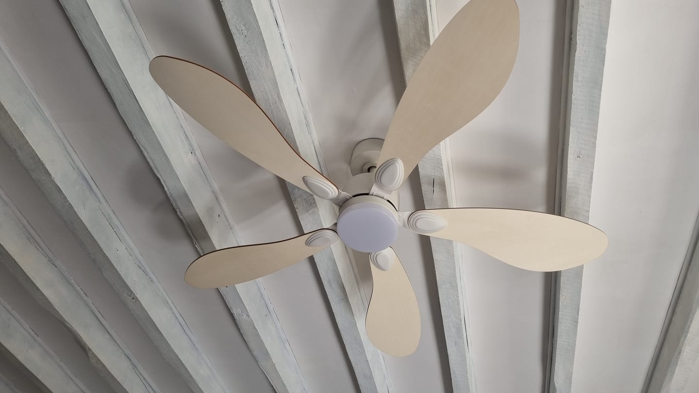Customer photo review of Libellule | Ventilateur de plafond