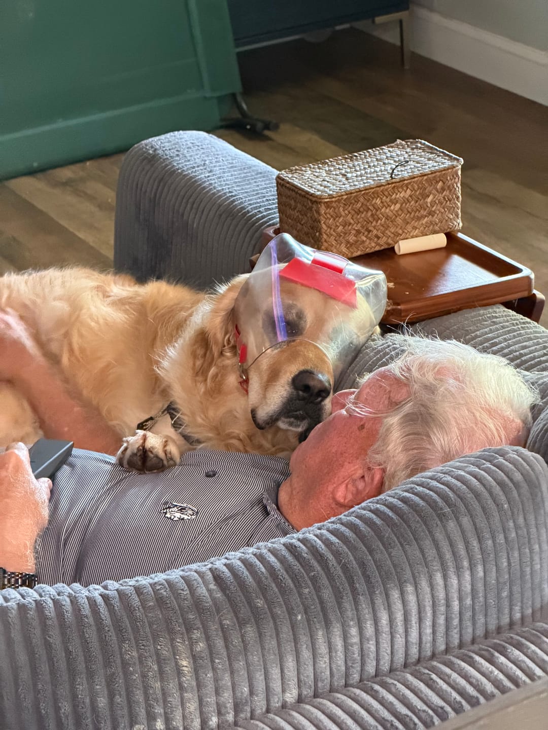 Customer photo review of OptiVizor - Regular Snout - Clear UV Tint