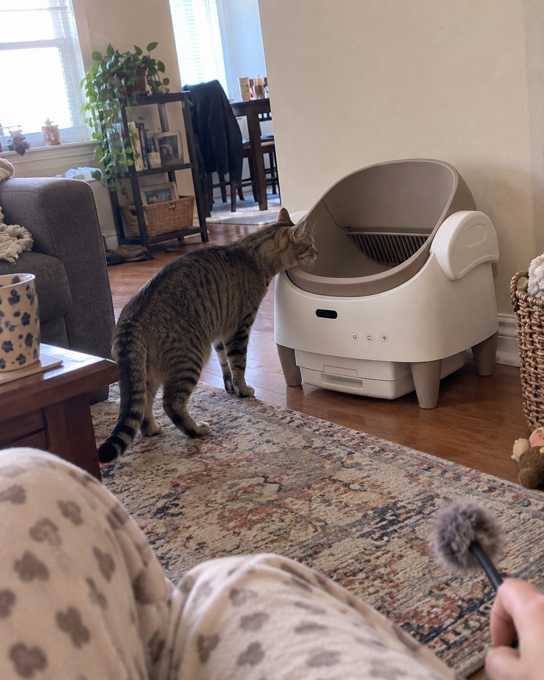 Customer photo review of Automatic Self-Cleaning Cat Litter Box