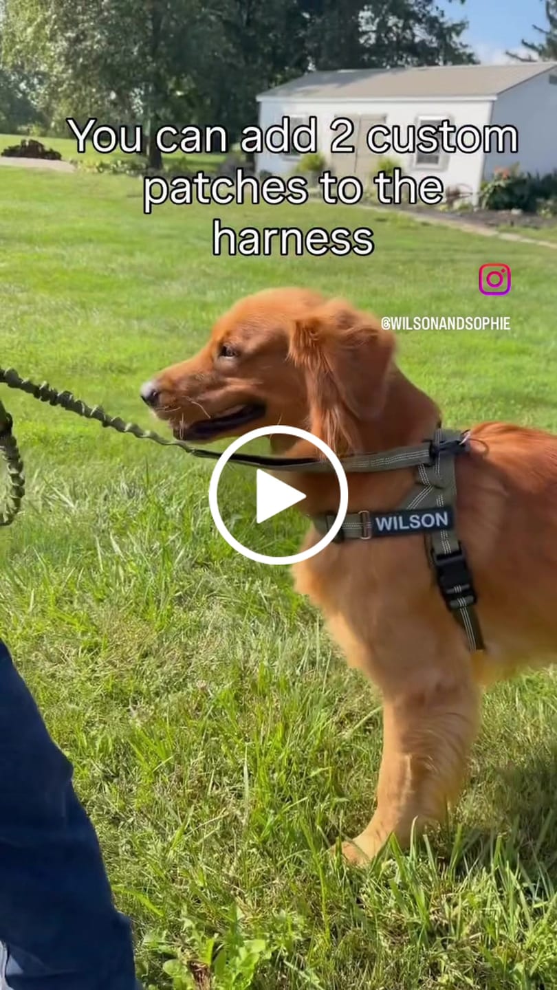 Customer video review of KAVRIONA No-Pull Dog Harness