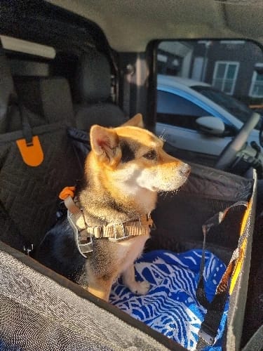 Customer photo review of PawTrek Single Seat Hard Base Cover