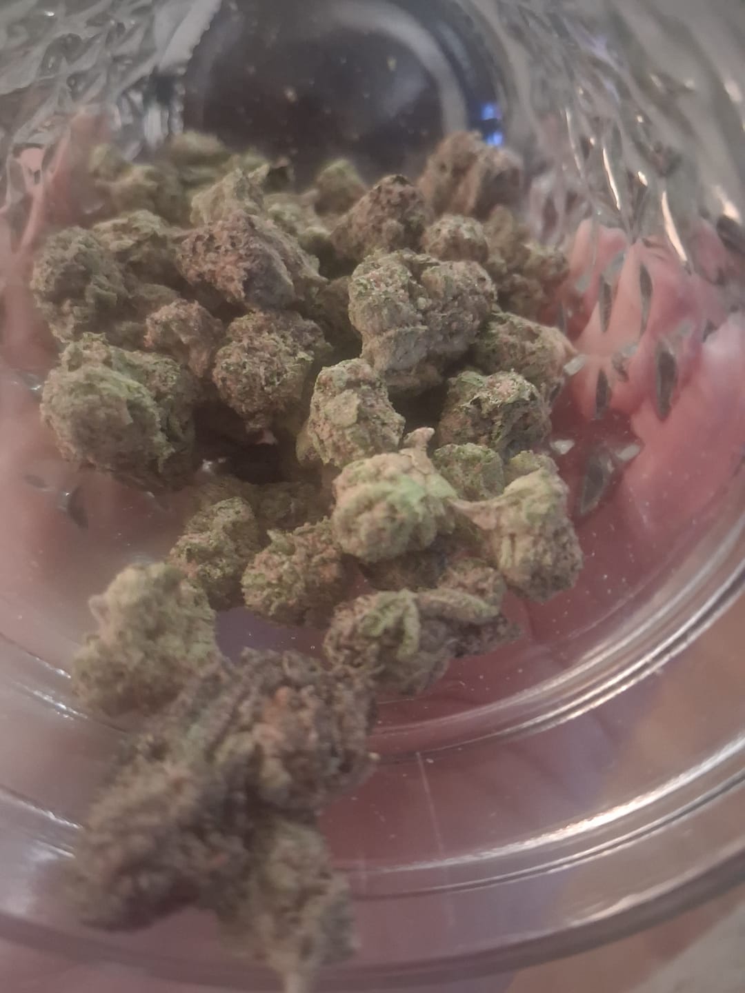 Customer photo review of Purple Punch (Indoor Smalls) - THCA Flower