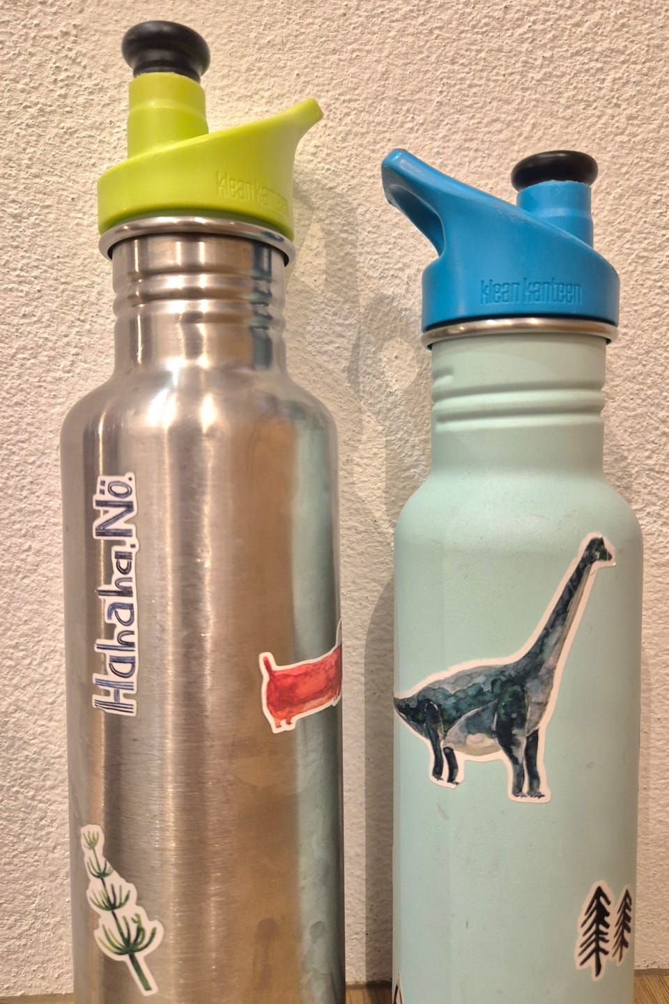 Customer photo review of spülmaschinenfeste Sticker "Dinos"