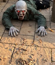 Customer photo review of Groundbreaker Zombie