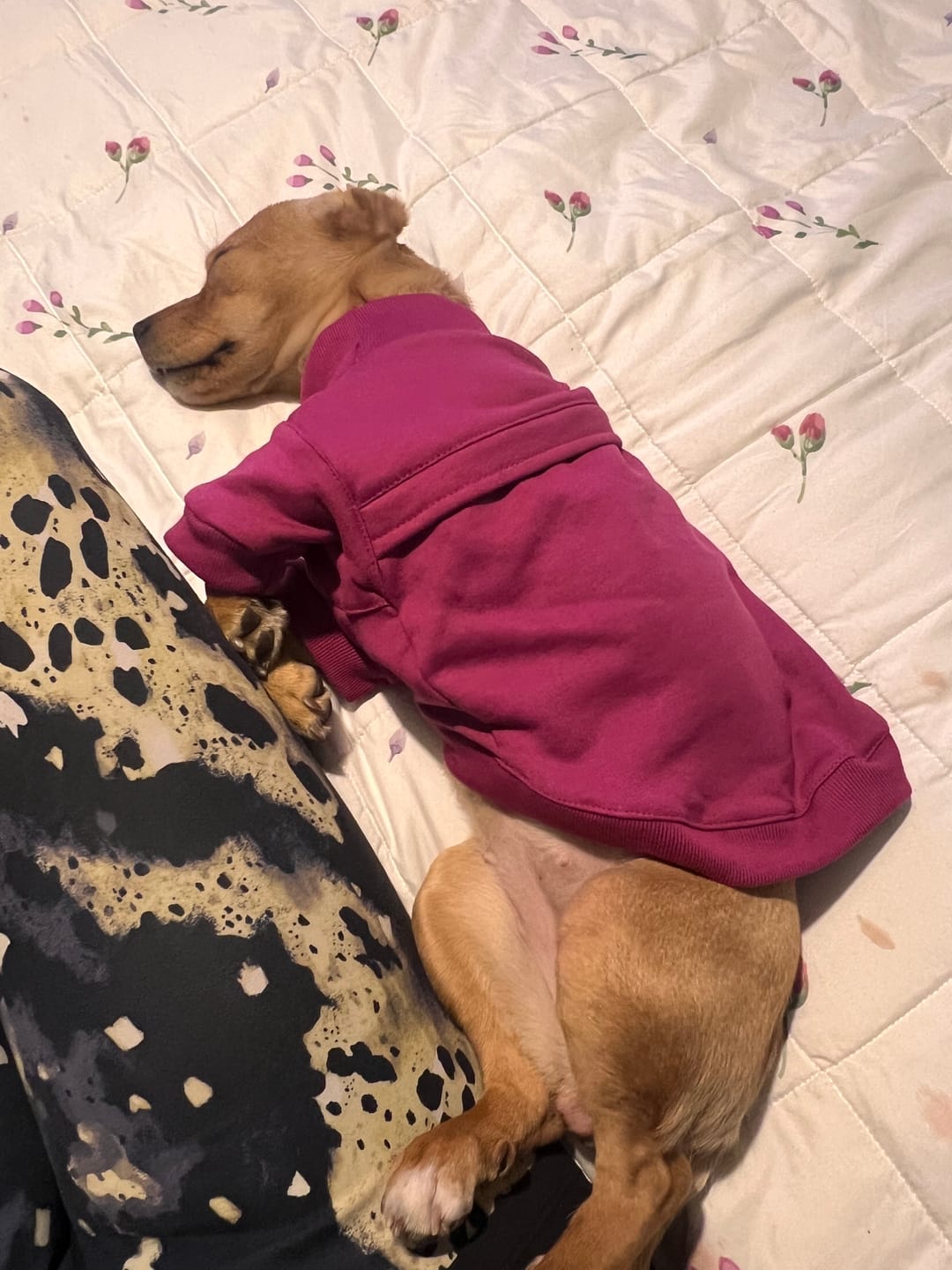 Customer photo review of Poleron Altitud Magenta
