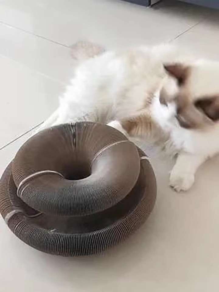 Customer photo review of İnteraktif Kedi Oyun Tüneli | Birleştirilebilir Tırmalama Oyuncağı