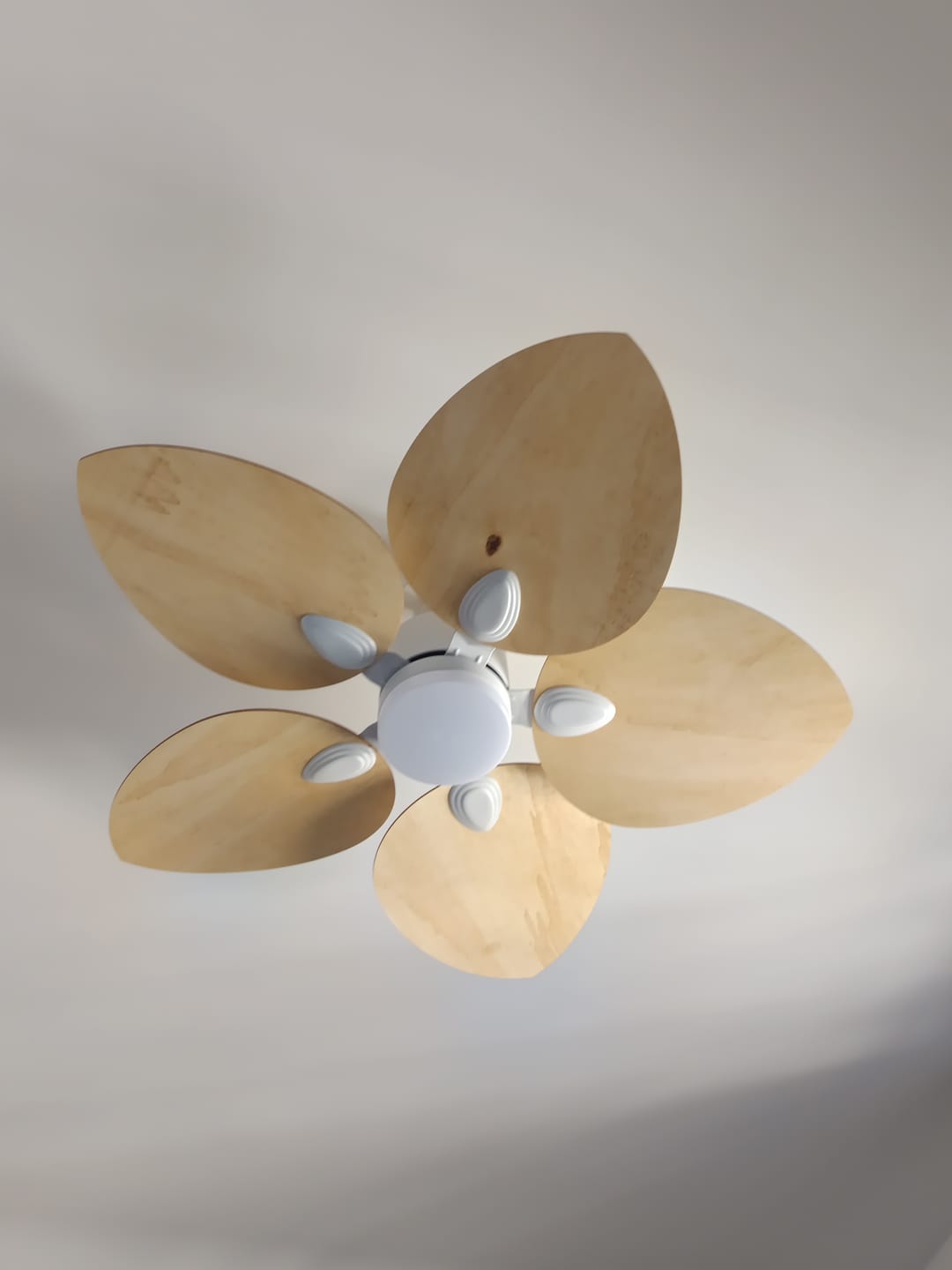 Customer photo review of Dahlia teinté Chêne | Ventilateur de plafond – Ø 109 cm
