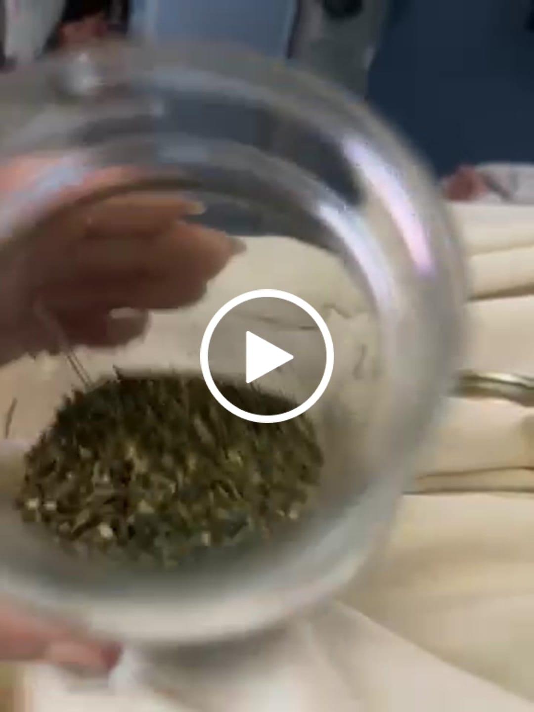 Customer video review of (Buy 1 Get 1 Free) No3 New. Blow Your Mind THCa Shake