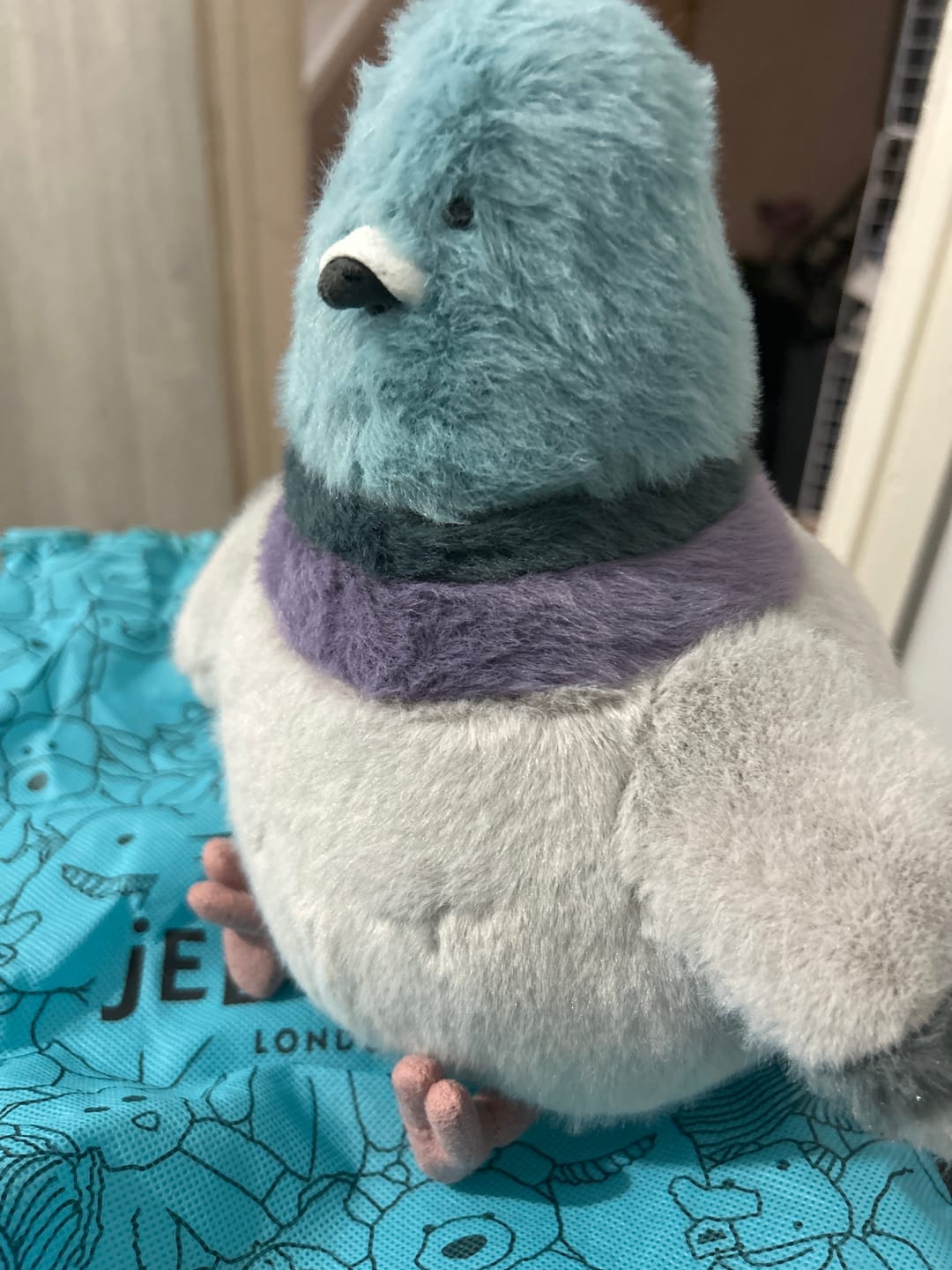 Customer photo review of Strutton Pigeon