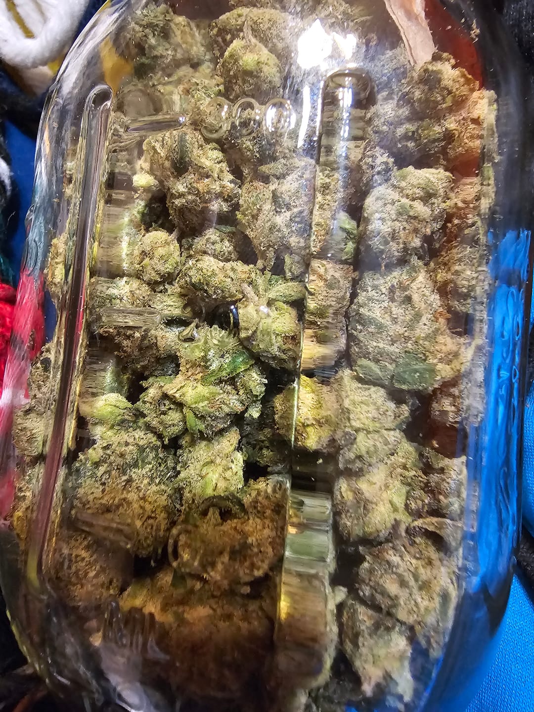 Customer photo review of Runtz THCA Flower (Budget)