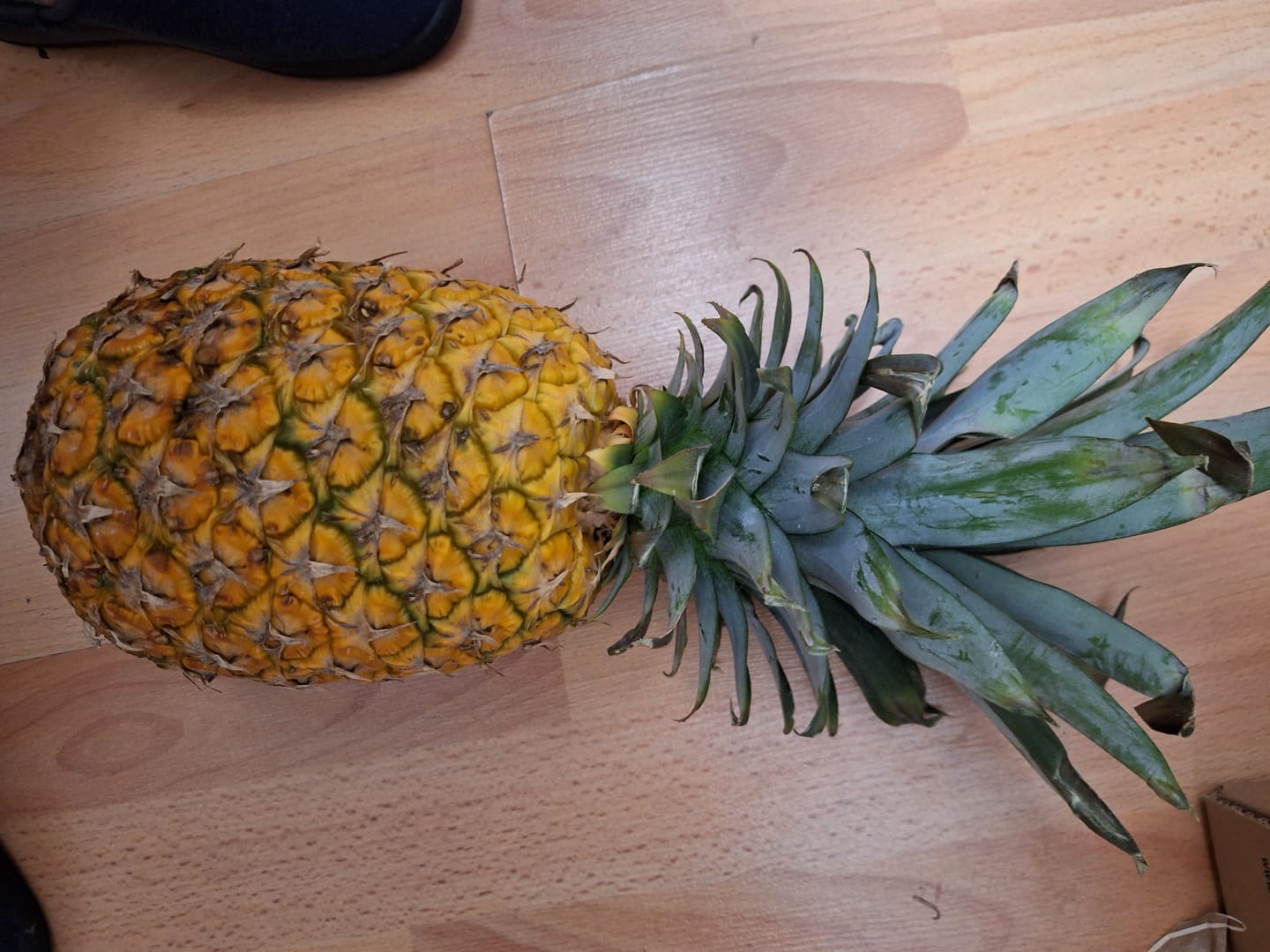 Customer photo review of Ananas Flugware reifgeerntet groß (1,5kg-1,75kg)