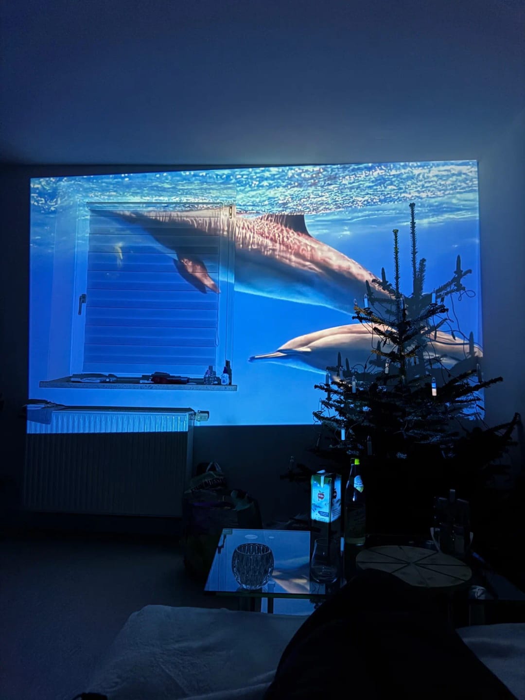 Customer photo review of Mini Proyector Smart 180 VELTRIX™
