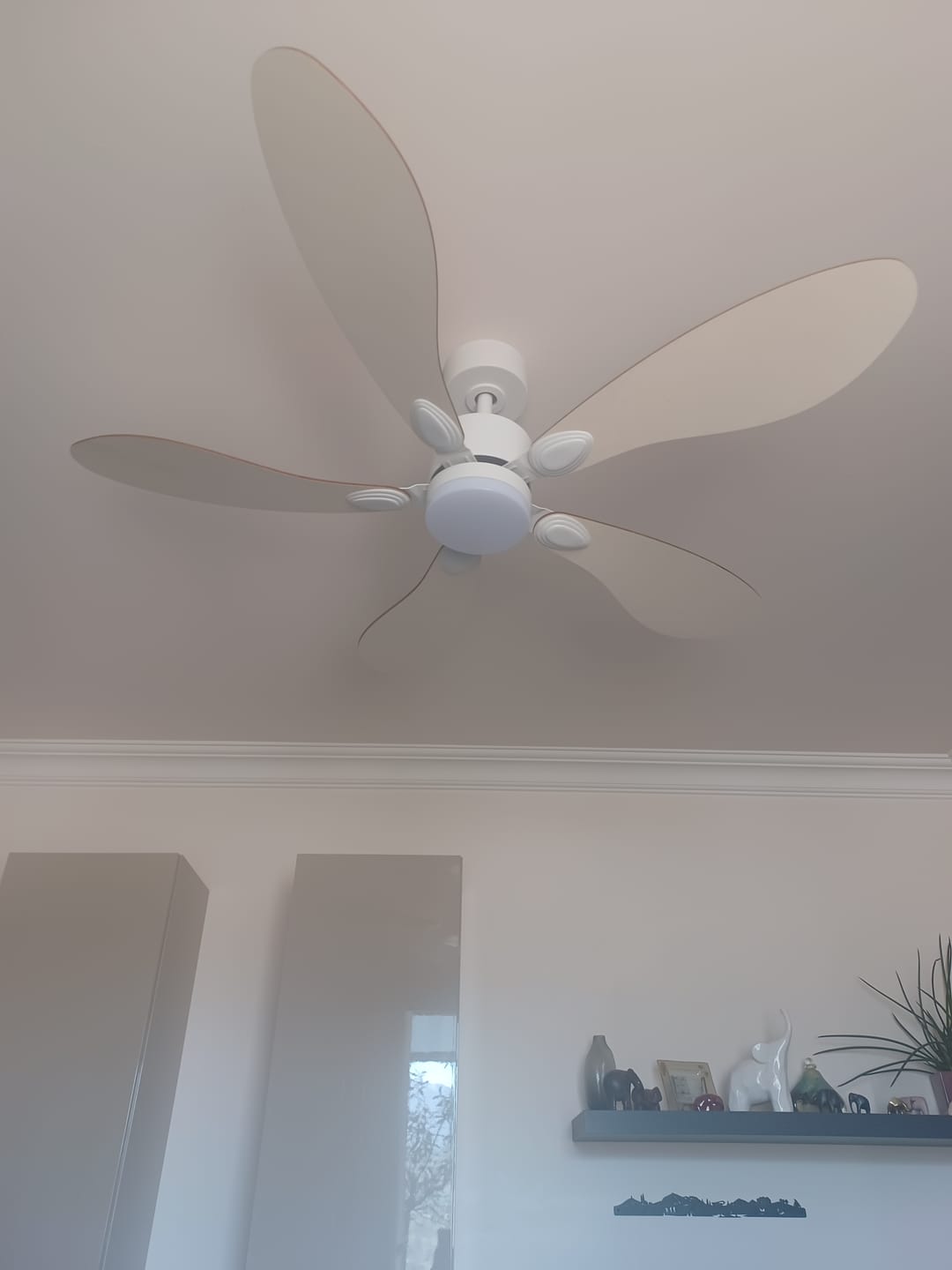 Customer photo review of Libellule | Ventilateur de plafond