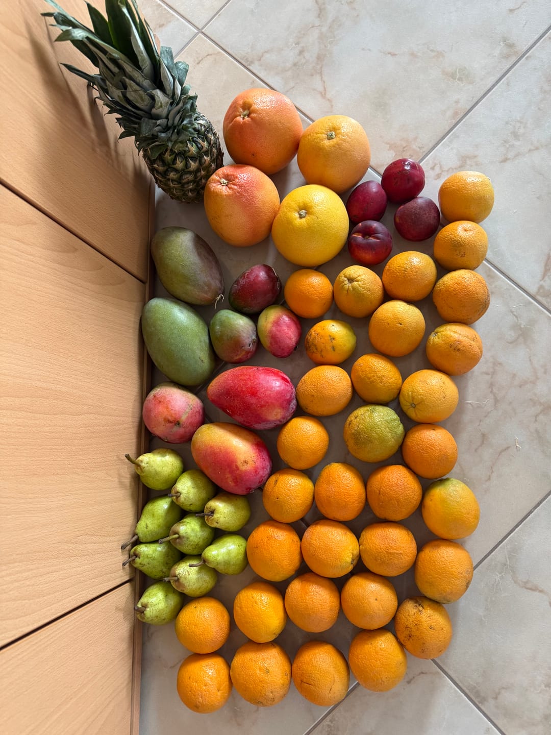 Customer photo review of Sommer-Saftorangen Bio aus Kreta