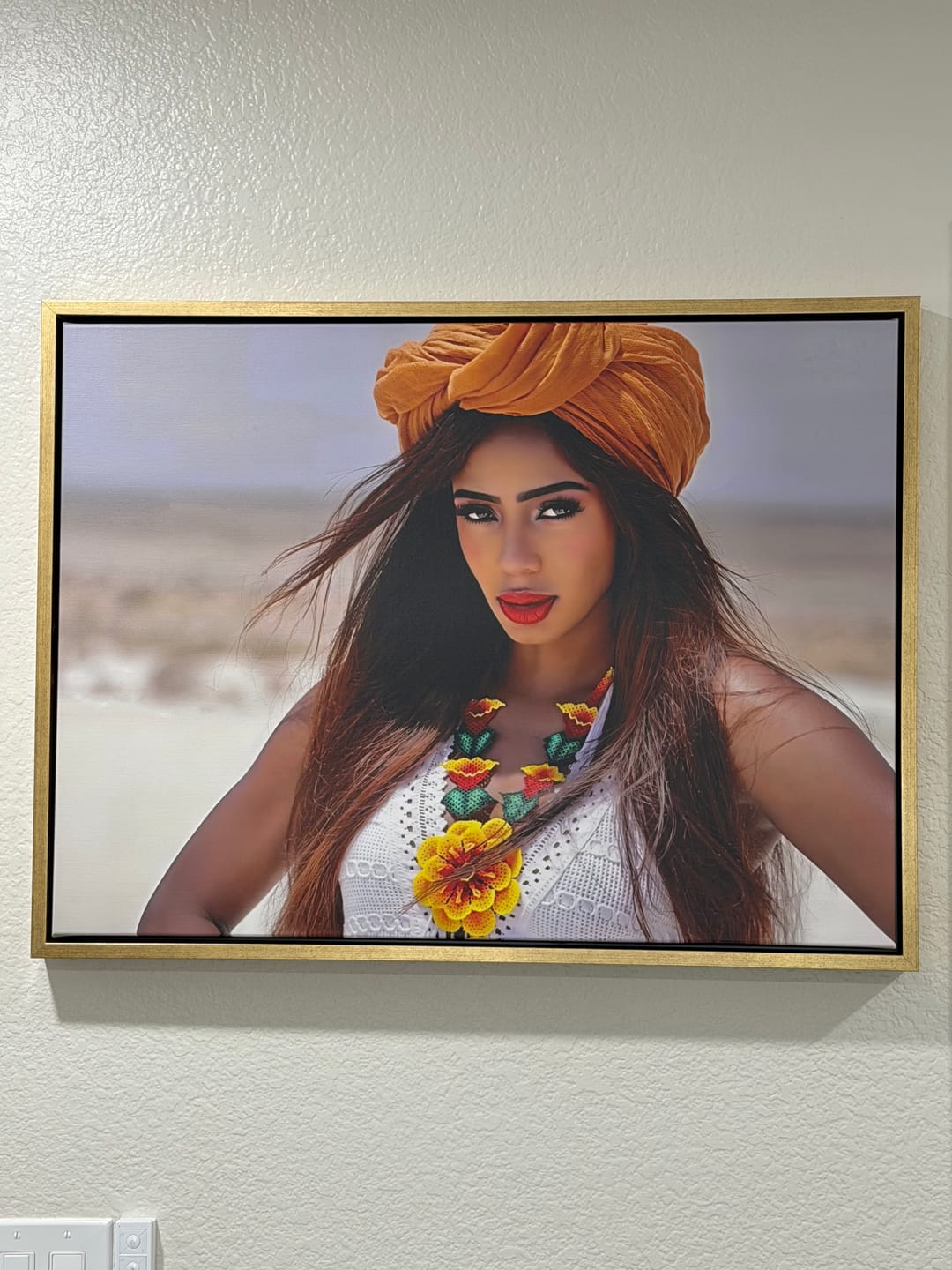 Customer photo review of Create Your Own Canvas Set - Landscape