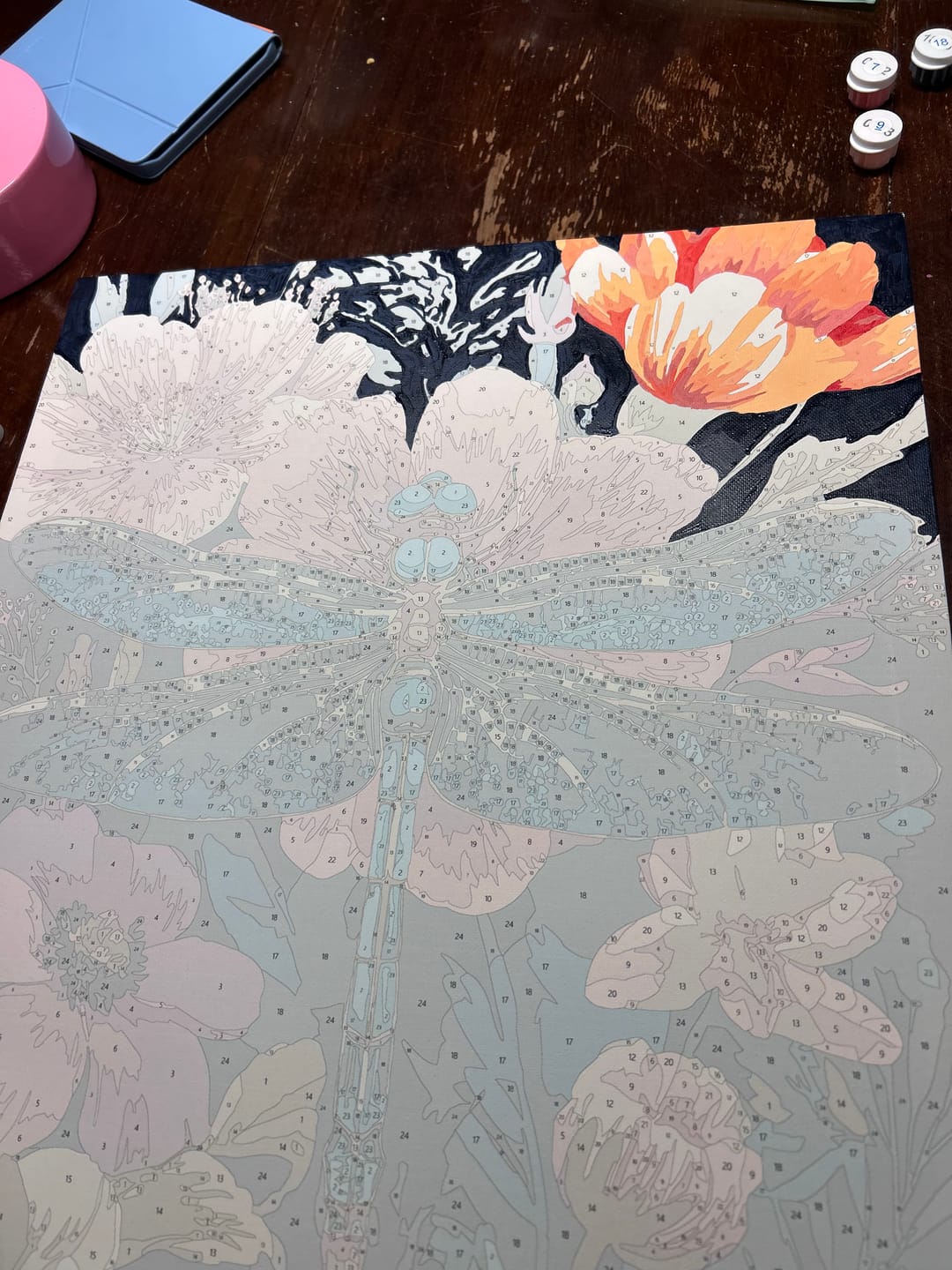 Customer photo review of Precious Dragonfly | Paint by Number