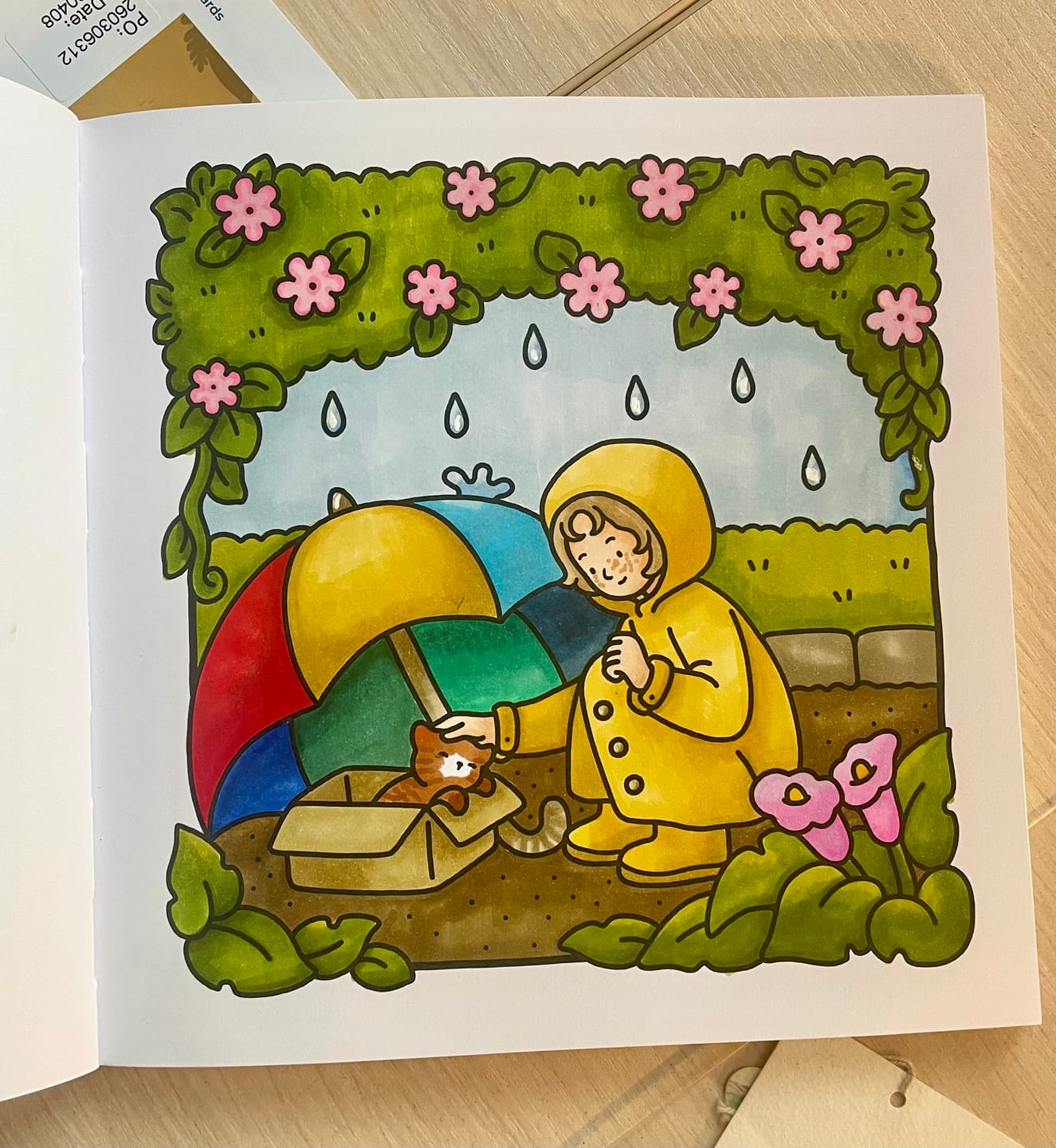 Customer photo review of Ohuhu Honolulu 216 Colors Dual Tips Alcohol Art Markers (New Color Codes)