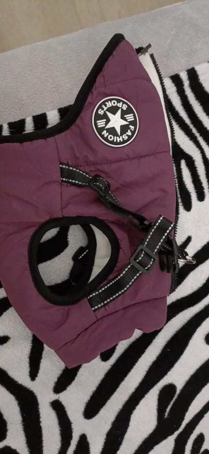 Customer photo review of My Furry King™ 3 in 1 Winter Jacket