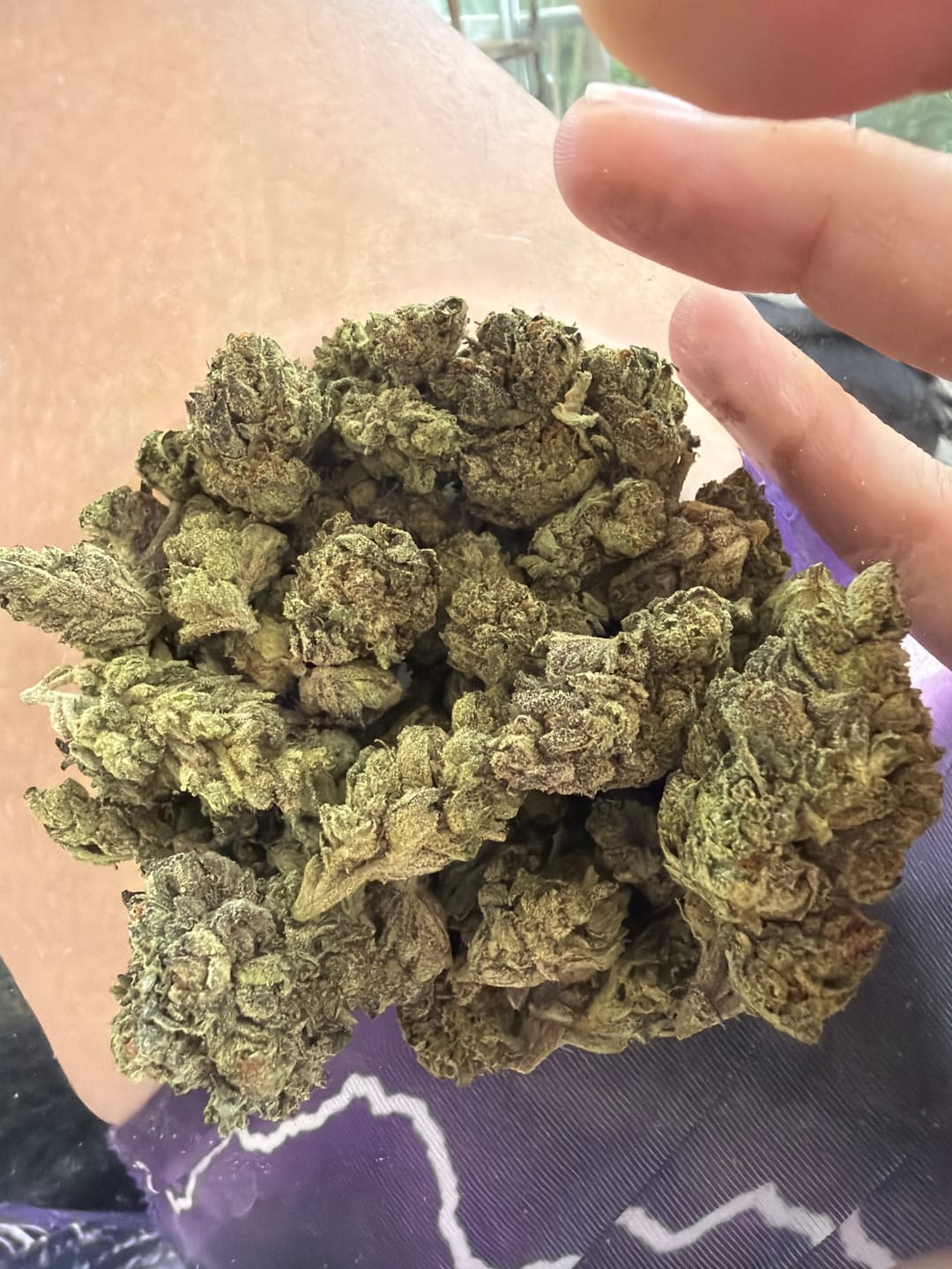 Customer photo review of Dank Gatorade THCA Flower - Cheap OZ