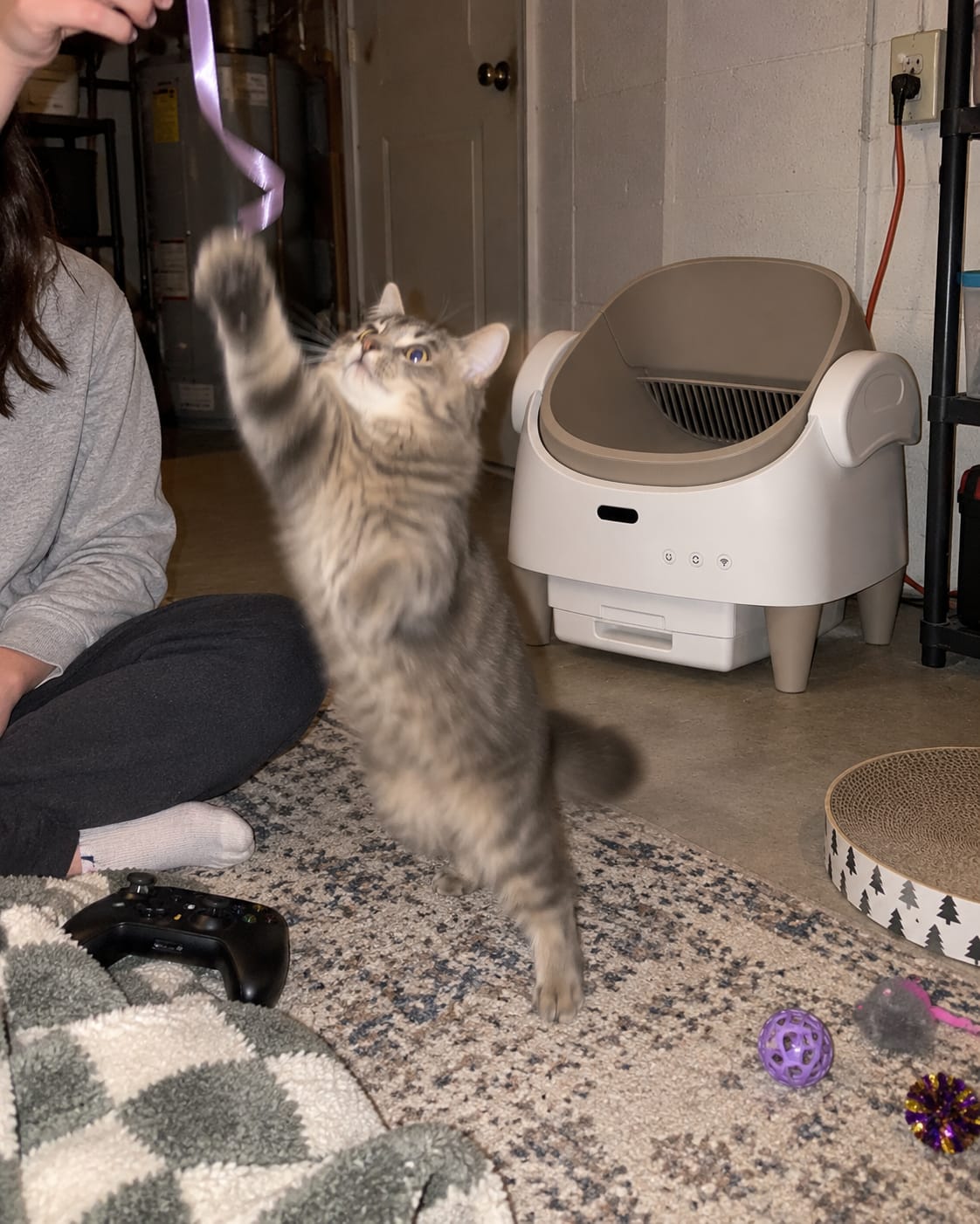 Customer photo review of Automatic Self-Cleaning Cat Litter Box