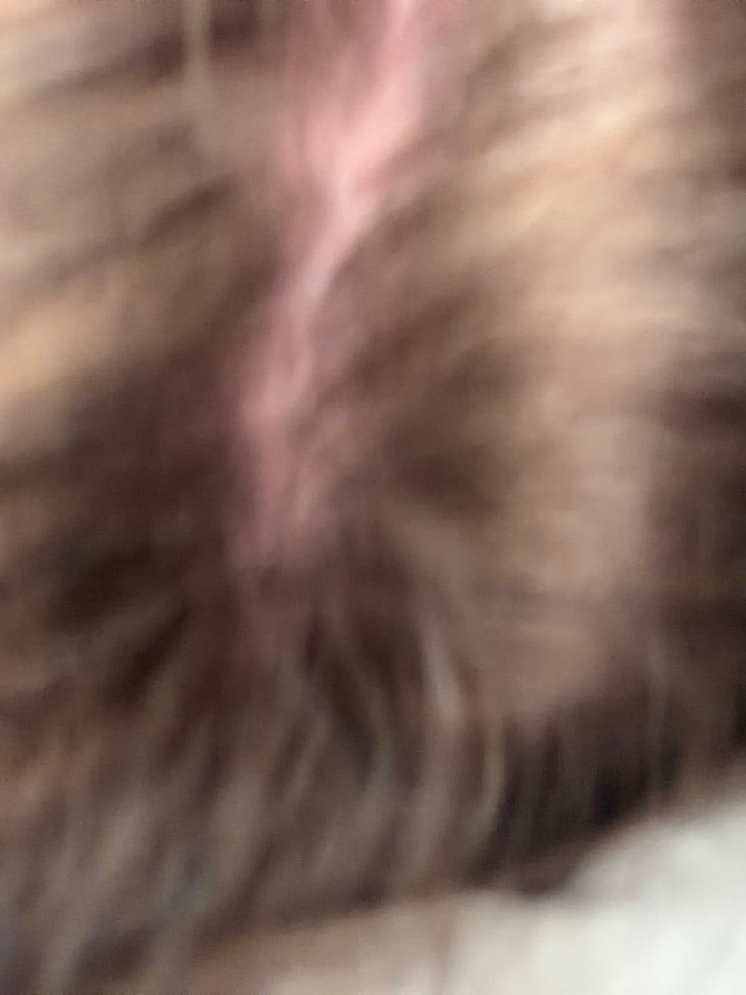Customer photo review of Instant Dye Shampoo