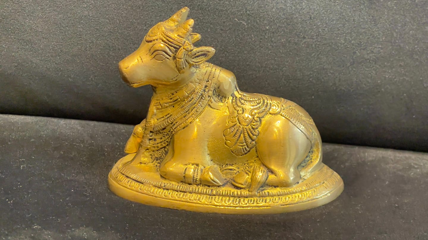 Customer photo review of Handcrafted Pure Brass Nandi Bull Vastu Remedy Idol for Business Stability and South-West Directional Alignment | 14 × 7.5 × 11 cm | 0.9 kg