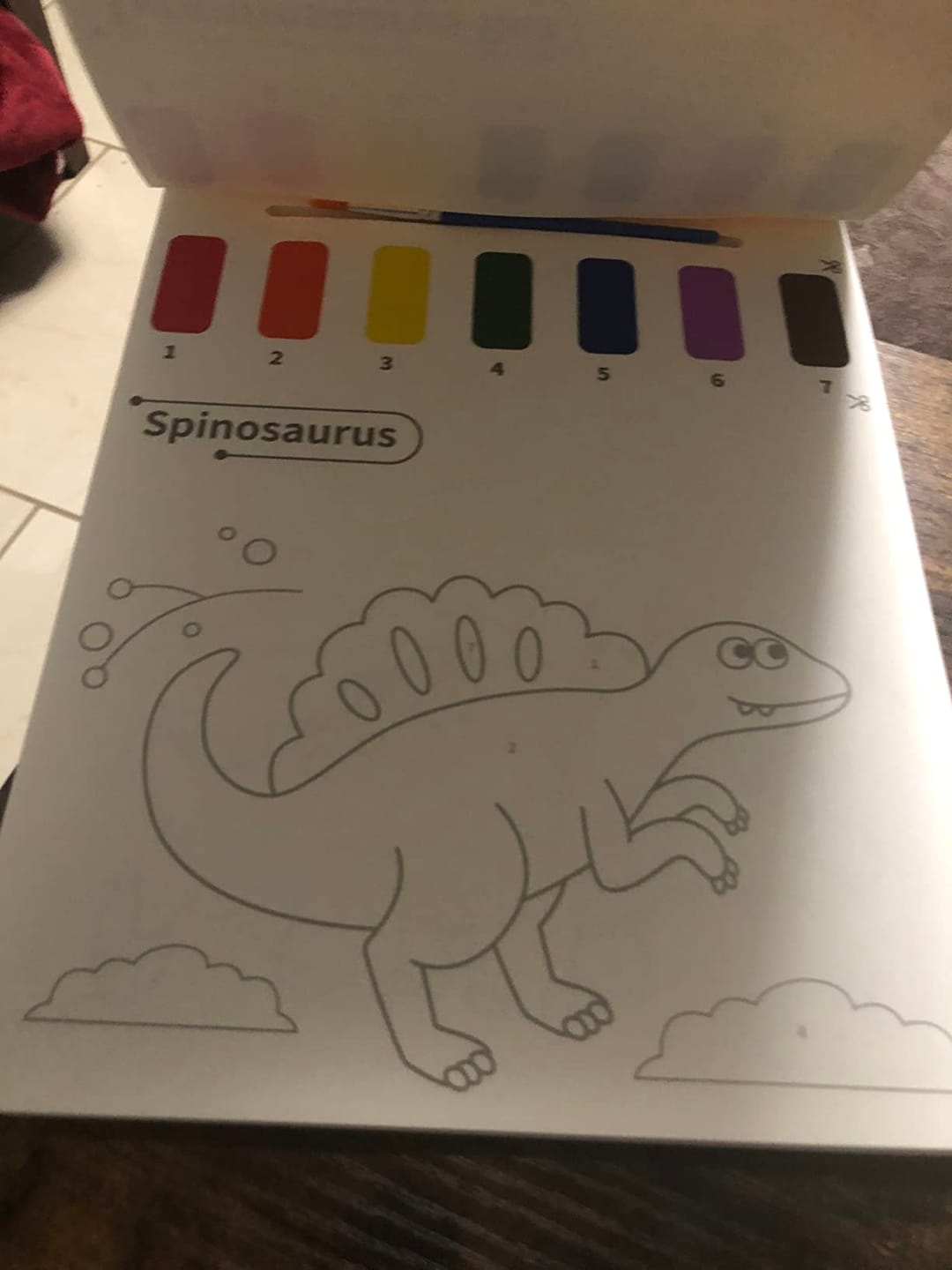 Customer photo review of Water Coloring Books