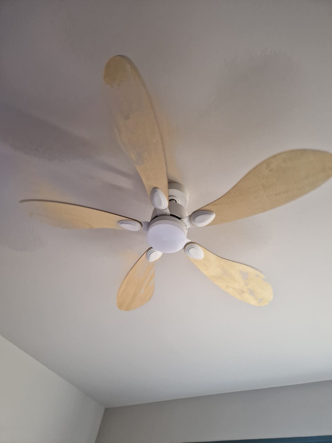 Customer photo review of Libellule teinté Chêne | Ventilateur de plafond – Ø 137 cm