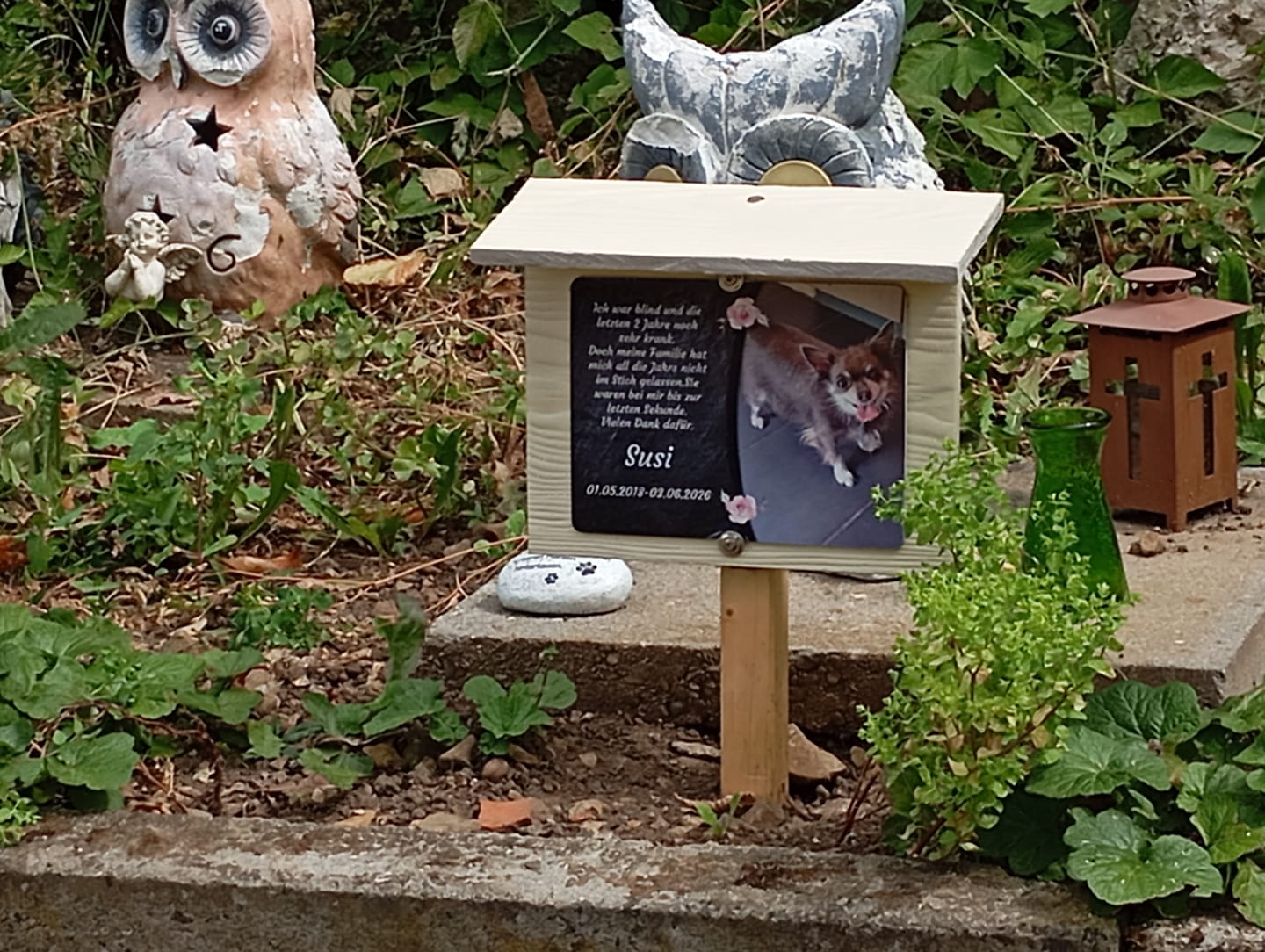 Customer photo review of Hunde Gedenktafel mit Foto & Spruch (UV- & Wetterfest)