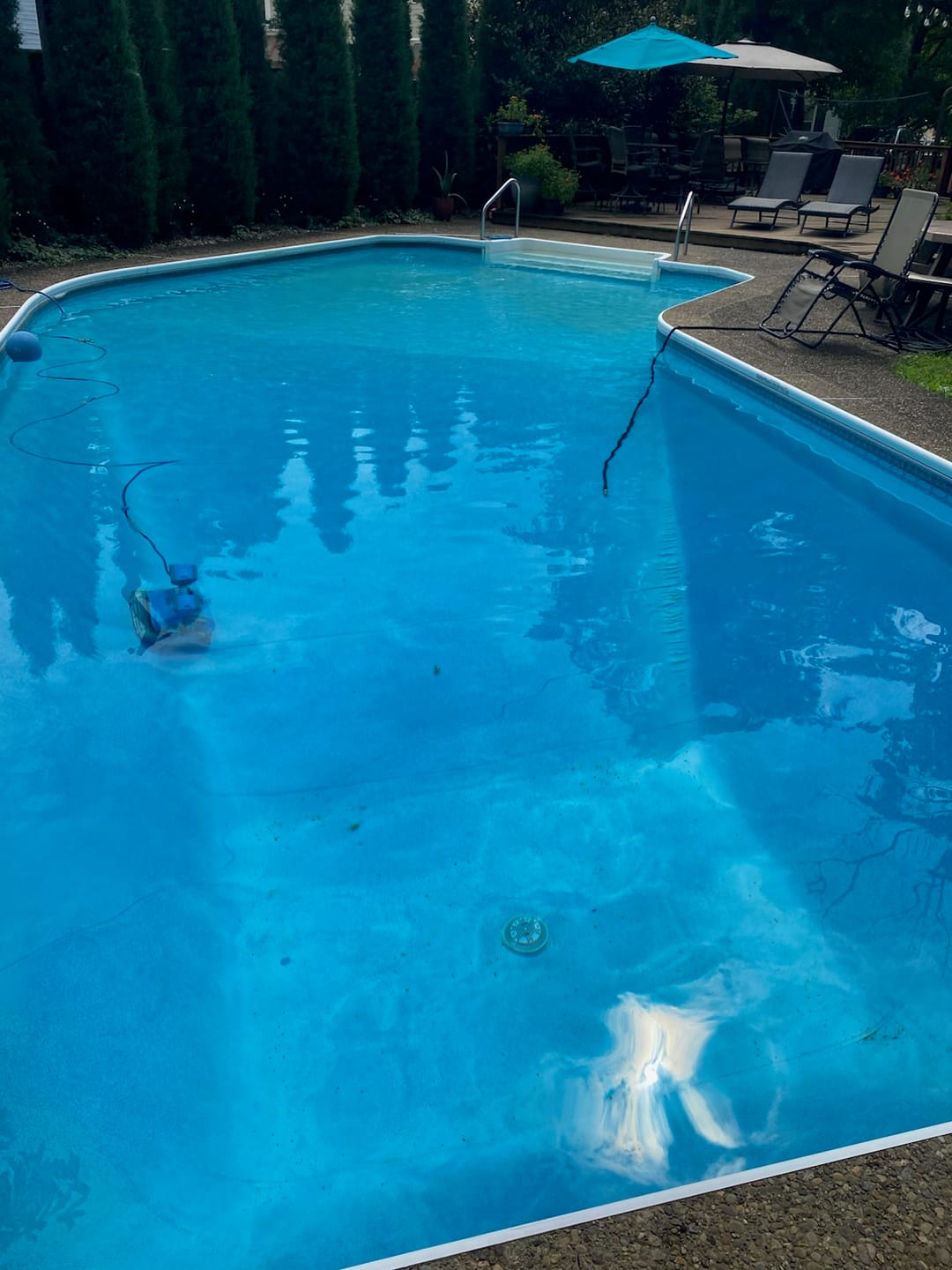 Customer photo review of 1.5" MPT DUCK PLUG VALVE