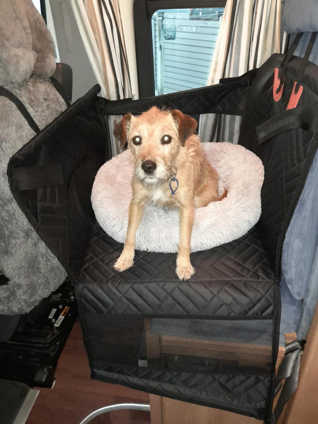 Customer photo review of PawTrek Single Seat Hard Base Cover