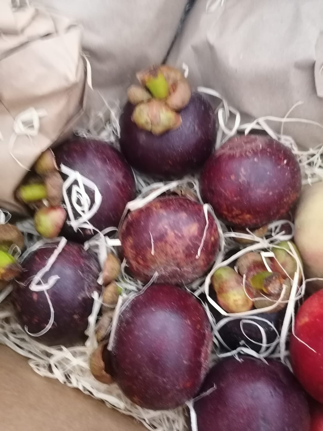 Customer photo review of Mangostan (Mangosteen) Sommeraktion %